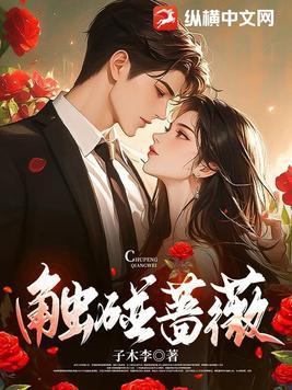 触碰蔷薇 书旗